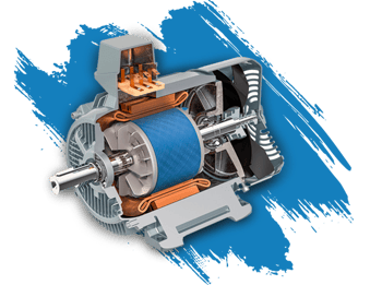 Electric Forklift Motor